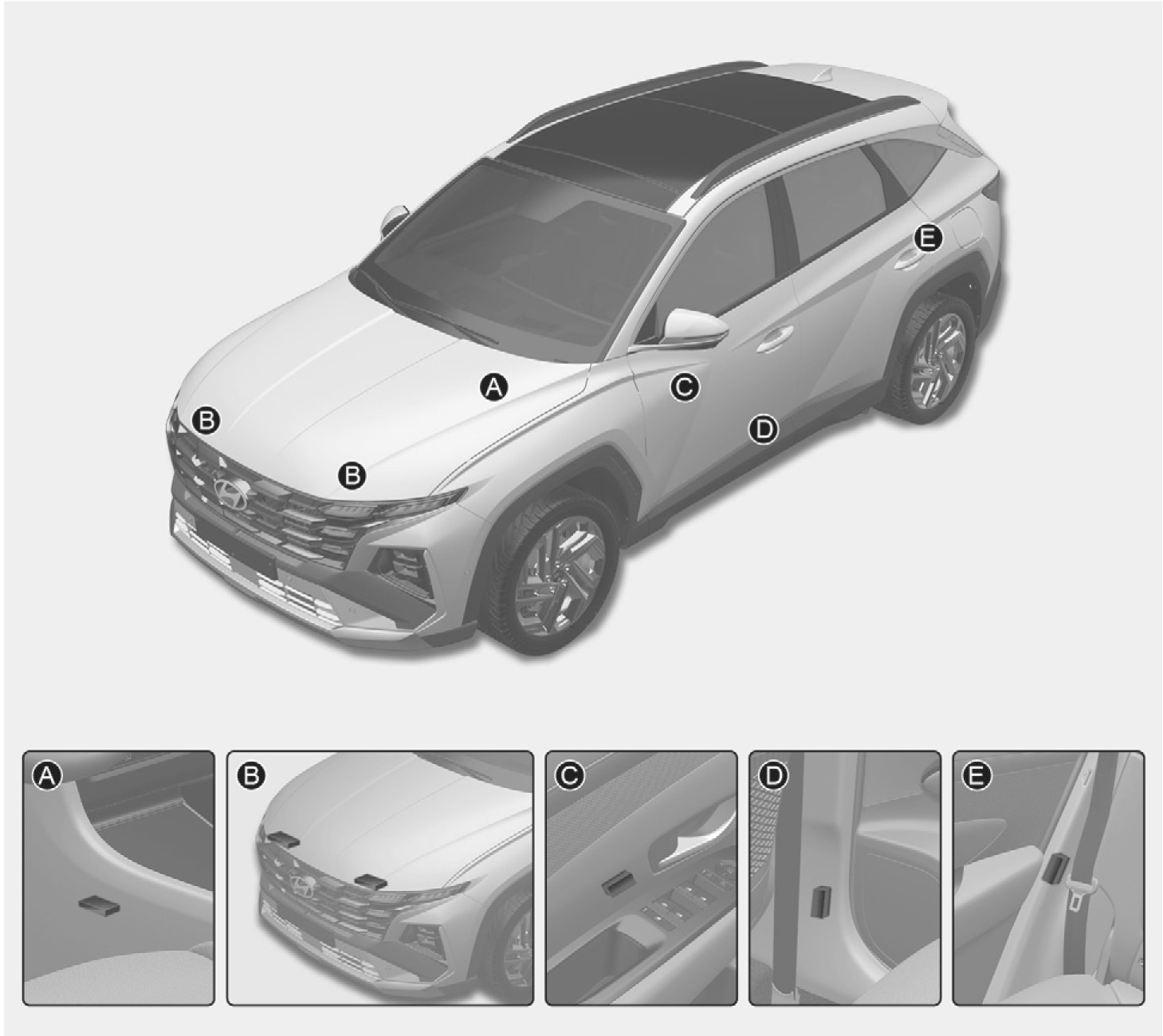 image_2911b764