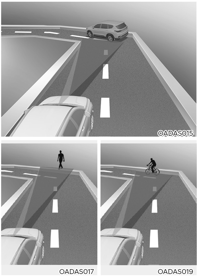image_6d462ad8